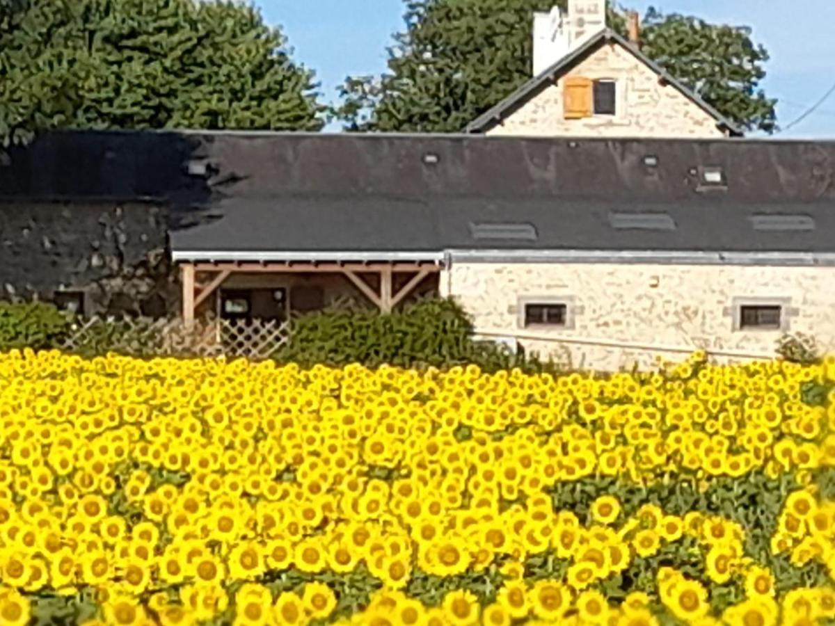 3 Self-Contained Gites With Pool And Games Room Saint-Georges-de-Noisné Esterno foto